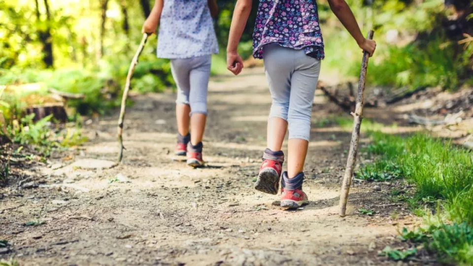 Hiking Safety for Kids: Expert Tips