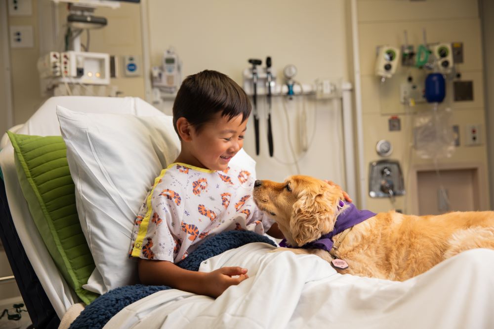 Therapy dog looks up at patient