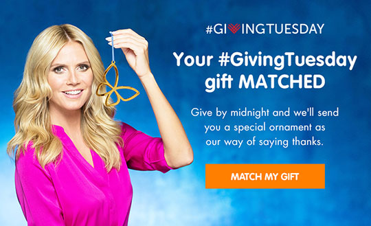 Your Giving Tuesday gift matched
