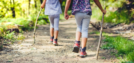 People hiking on trail