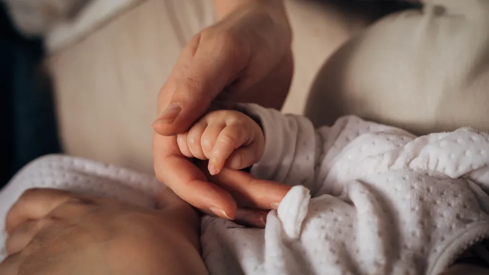 Infant holding parent's hand