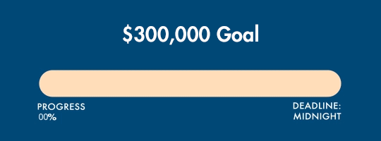 $300,000 Goal. Progress: 85%. Deadline: Midnight.