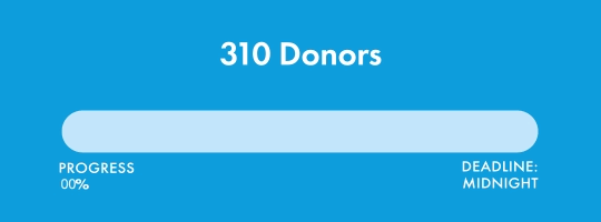 310 Donors. Progress: 80%. Deadline: Midnight.